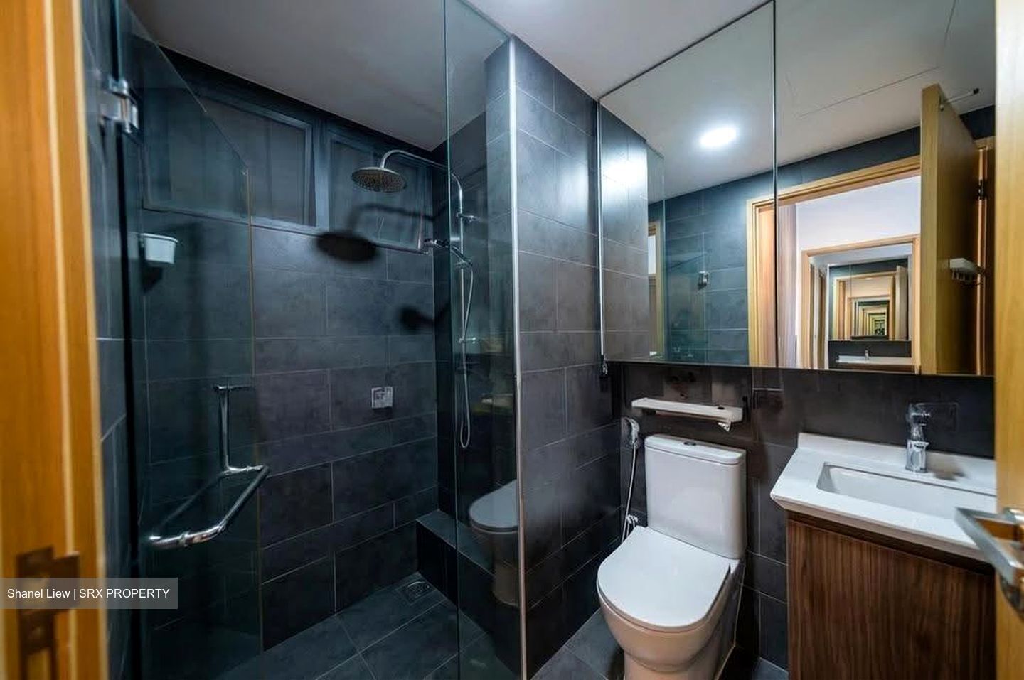 Parc Olympia (D17), Condominium #608980971